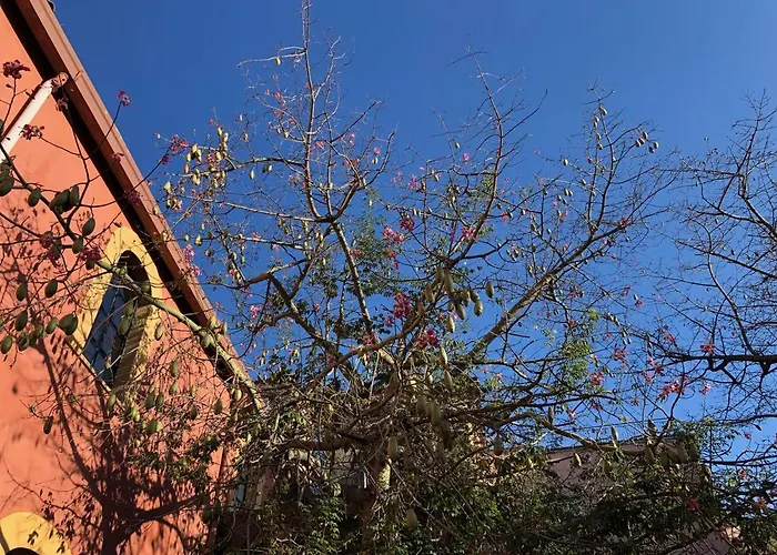 Pudding Oda ve Kahvaltı Ercolano