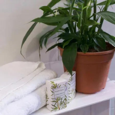 Pudding 3* Эрколано