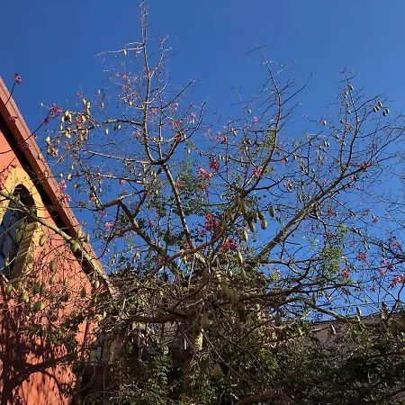 Pudding Отель типа 