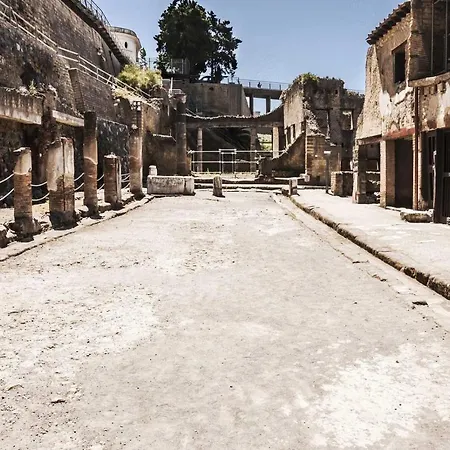 Pudding Отель типа 