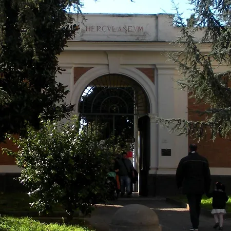 Pudding Отель типа 